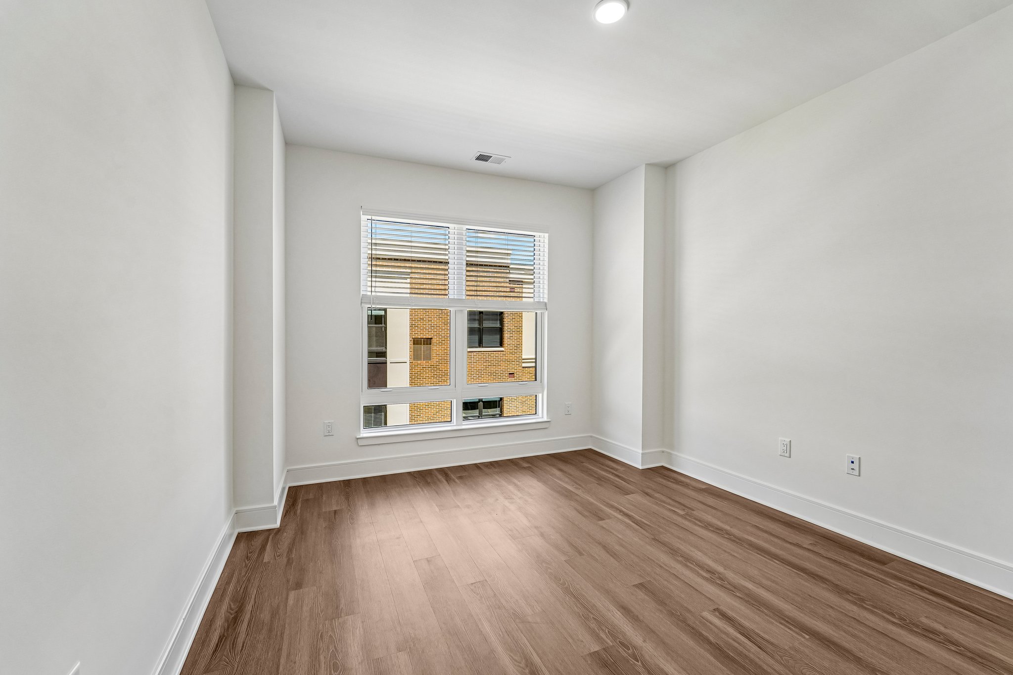 Gallery Photo 51